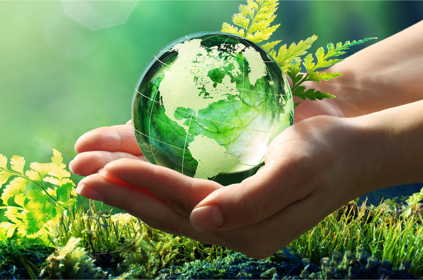 🌿 **Looking to make eco-friendly decisions but not sure where to start ...