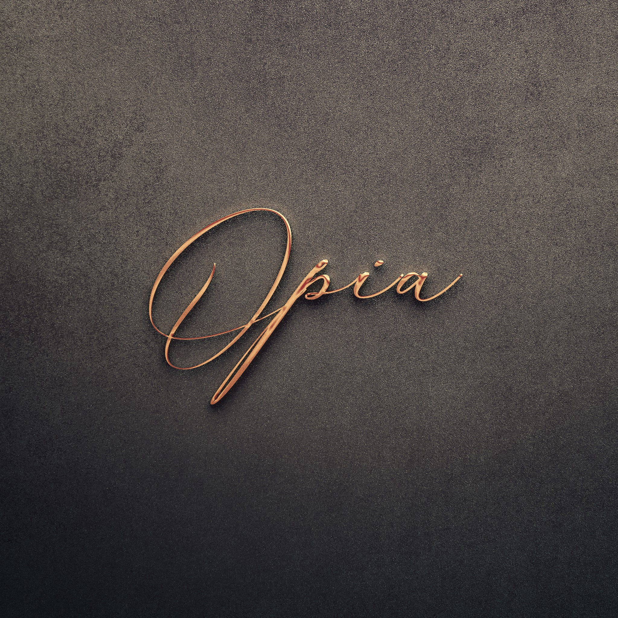 𝐀 𝐥𝐢𝐭𝐭𝐥𝐞 𝐞𝐱𝐨𝐭𝐢𝐜, 𝐚 𝐥𝐨𝐭 𝐞𝐱𝐭𝐫𝐚𝐨𝐫𝐝𝐢𝐧𝐚𝐫𝐲. | OPIA Bucharest