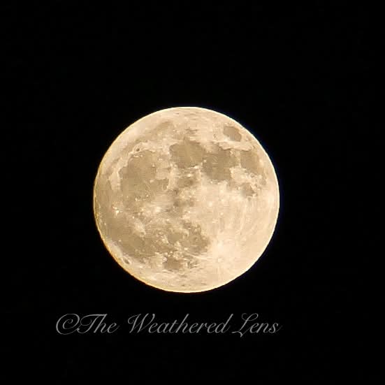 No this is not AI 🌕 Almost a full moon tn 🌕 “93.1% Waning