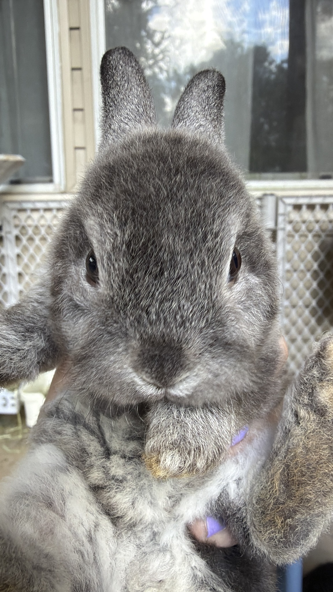 She devoured the greens but wasn’t that excited about the strawberry ...