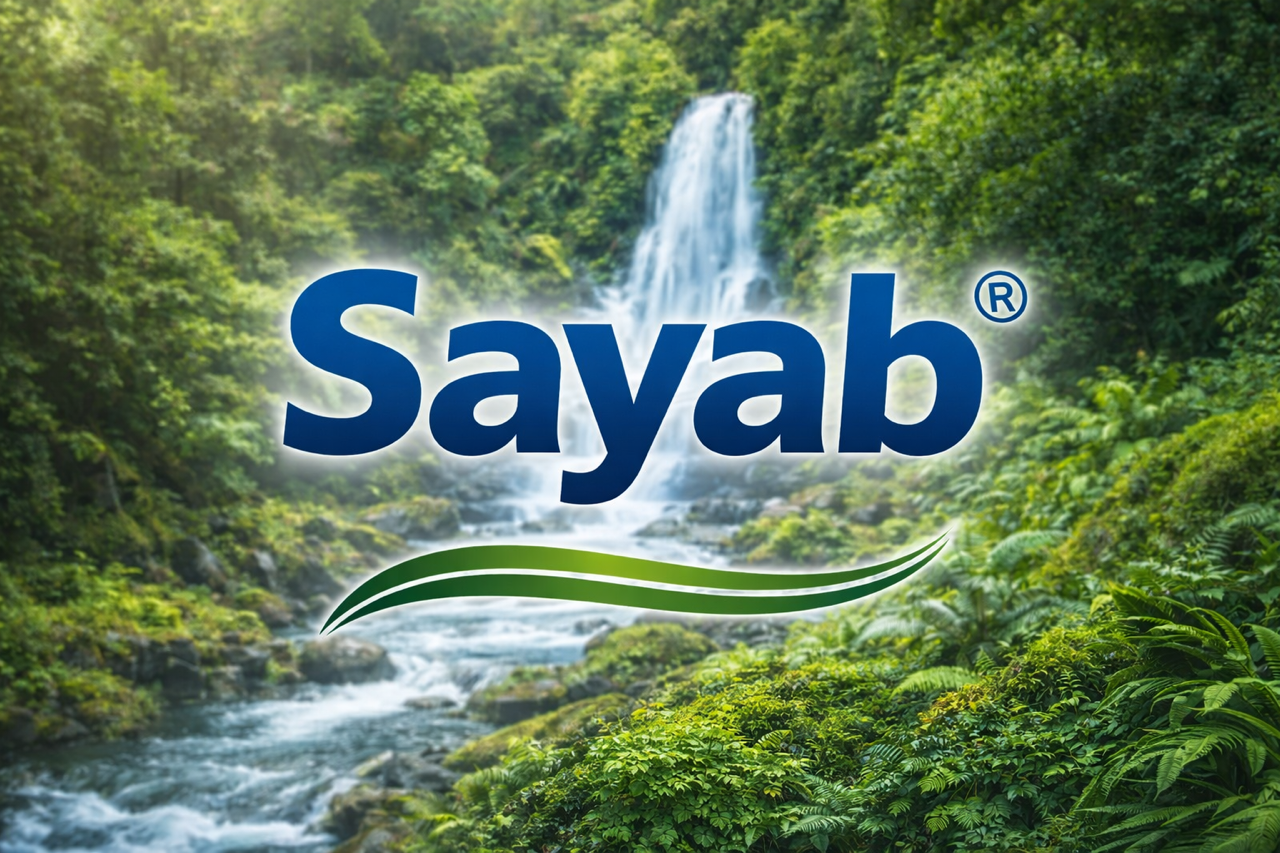 Sayab Plus (@SAYABPLUS) • Facebook, Connect with friends
