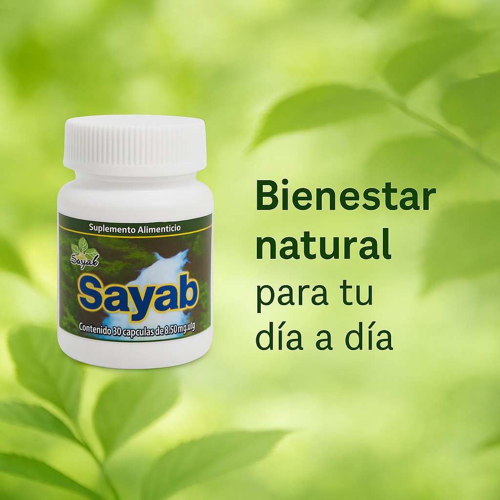 Sayab Cuernavaca | Cuernavaca