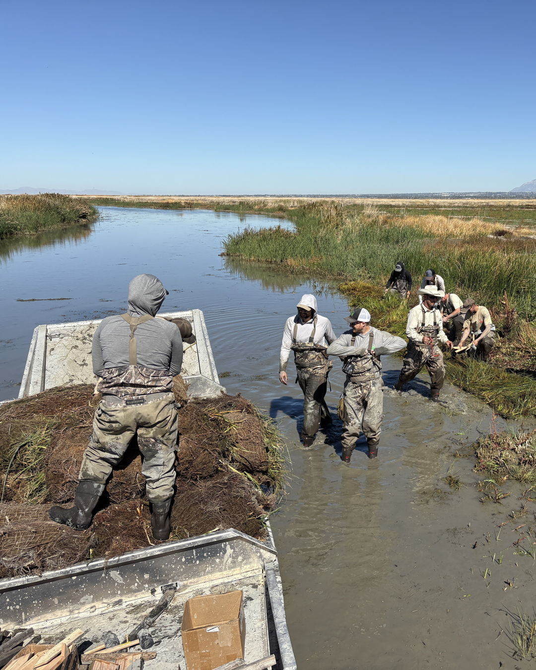 Utah - FFSL and DWR partnered to plant 100 native wetland sod mats ...