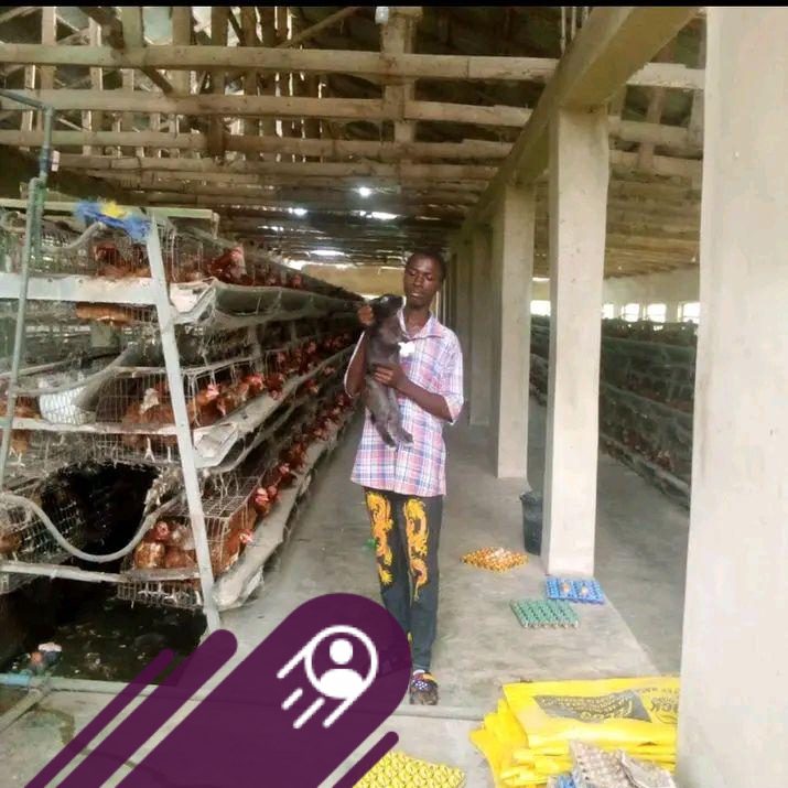 Rabbit Farmers in Nigeria | 🐇 YOUR RABBIT IS LOSING HAIR | Facebook