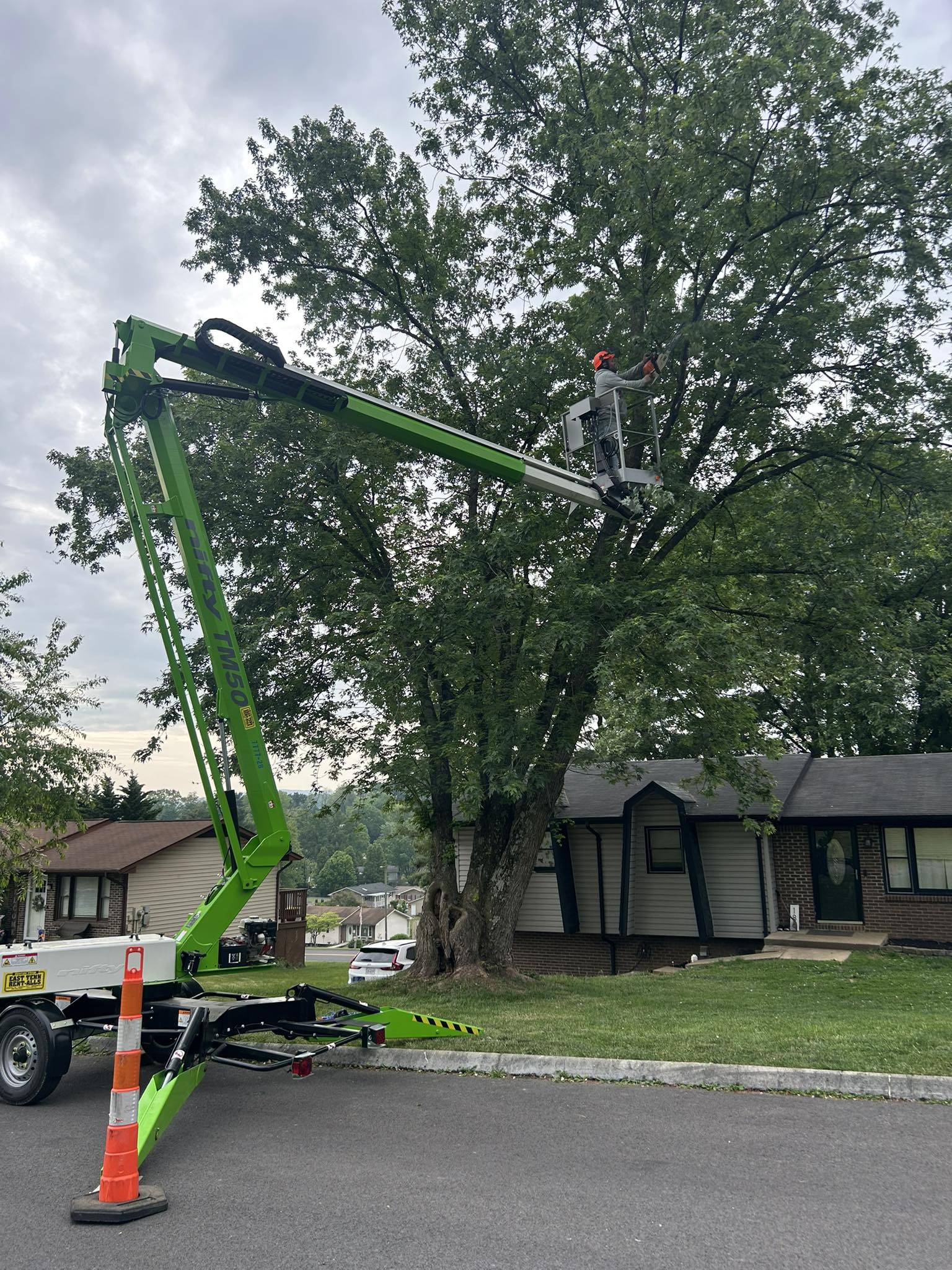 276 Tree Service