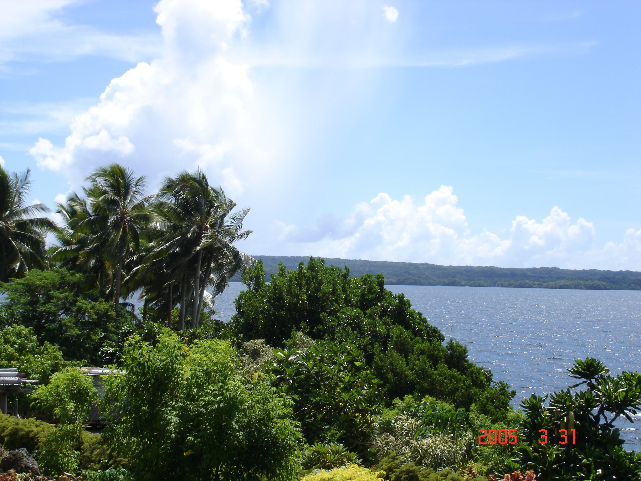 East Rennell World Heritage Site | Honiara