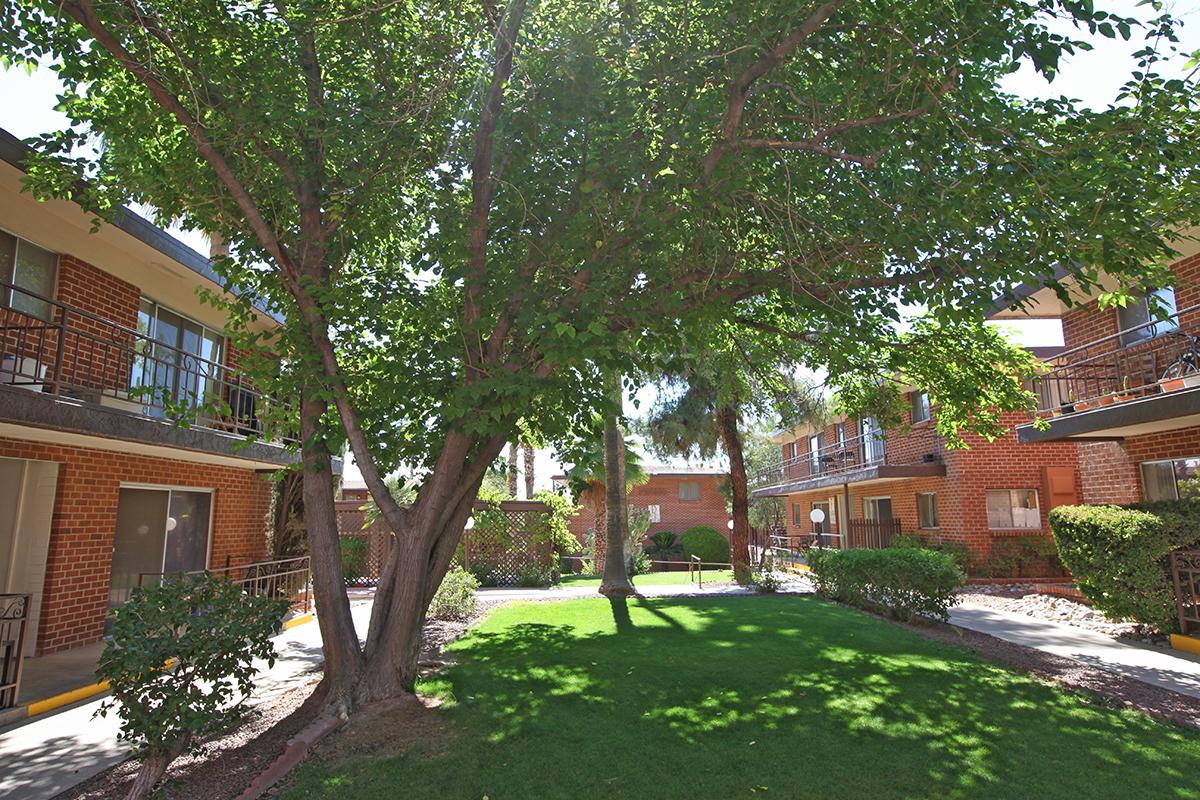 Country Club Apartments | Tucson AZ - Country Club Apartments With Outdoor Space