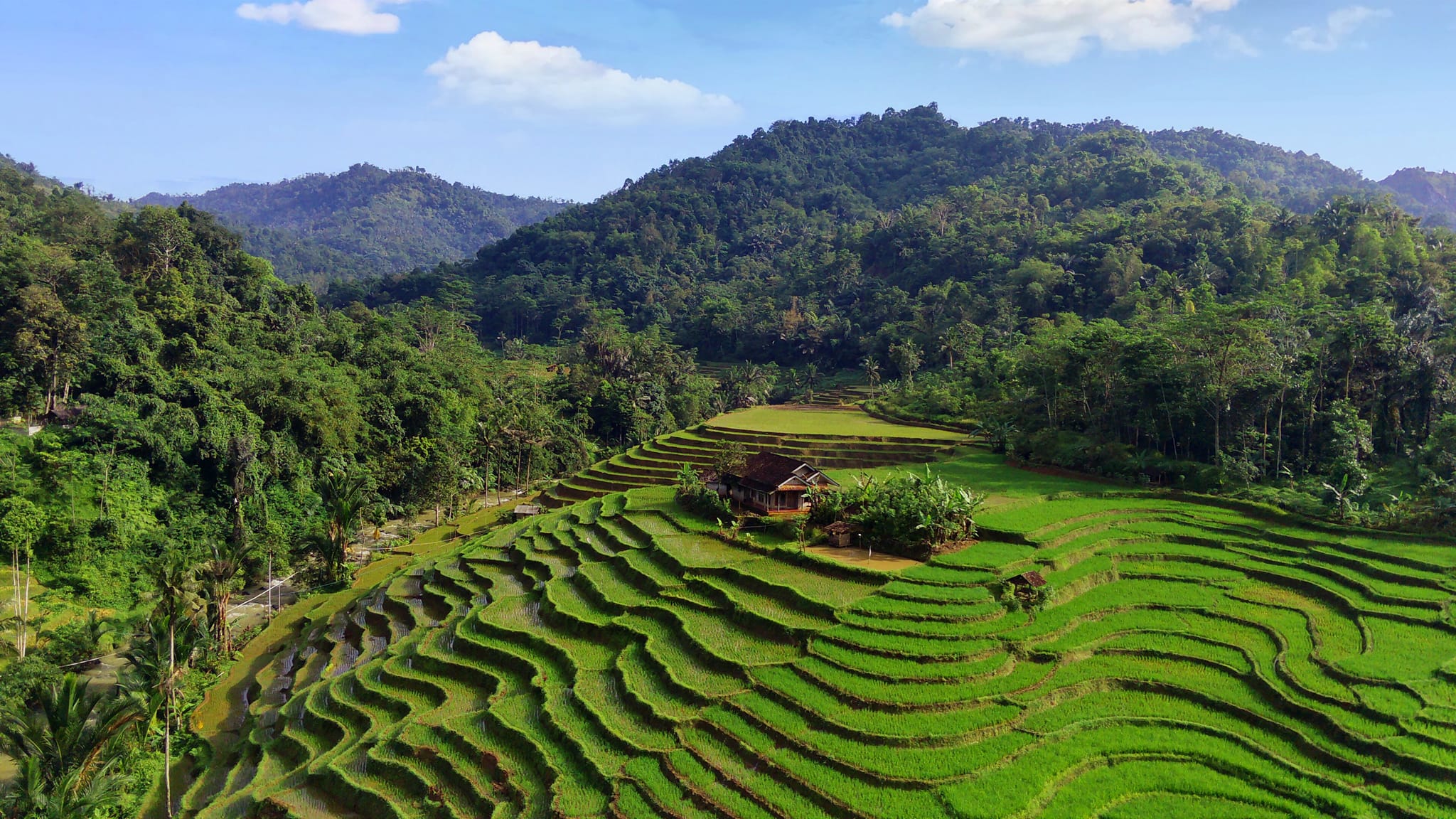 Baraya Fhr