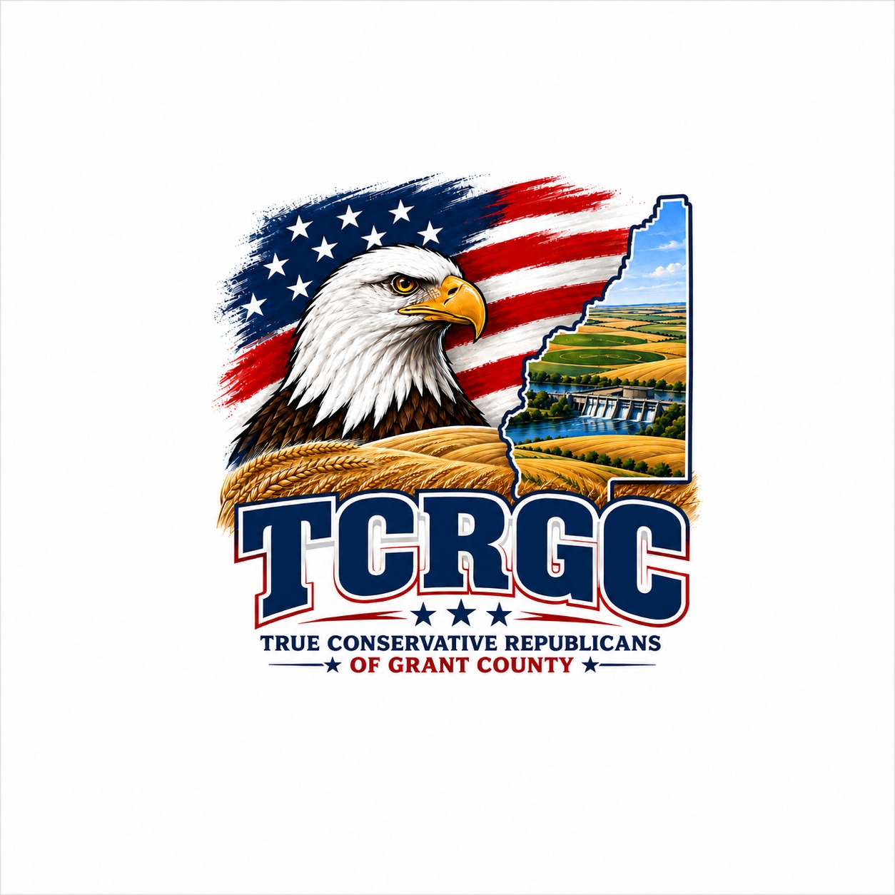 📣 Washington State Representative Candidate Interview True Conservative ...