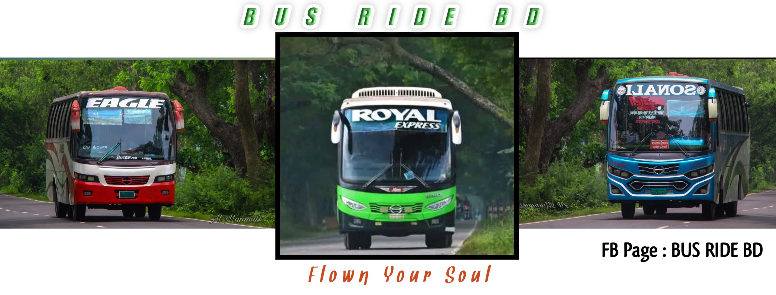 BUSES - 💢 সি-লাইন // ক্রিস্টাল লাইন 💢 ঢাকা - পাবনা রুটের সার্ভিস ...