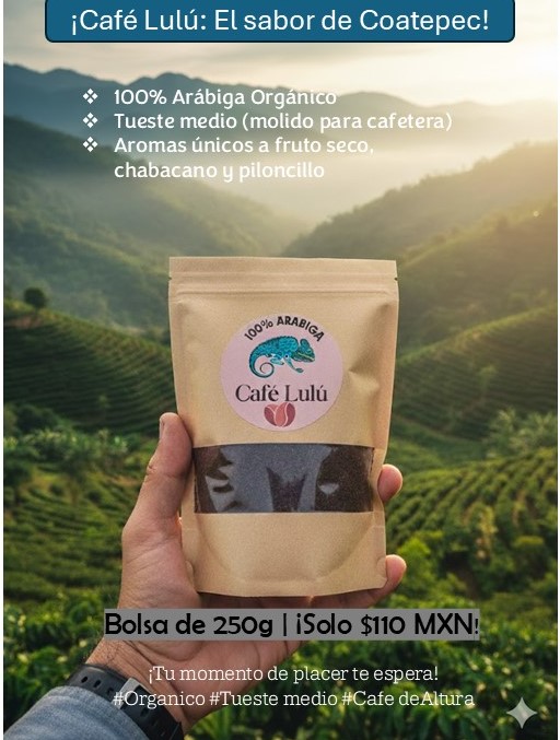 Café Lulú | Monterrey