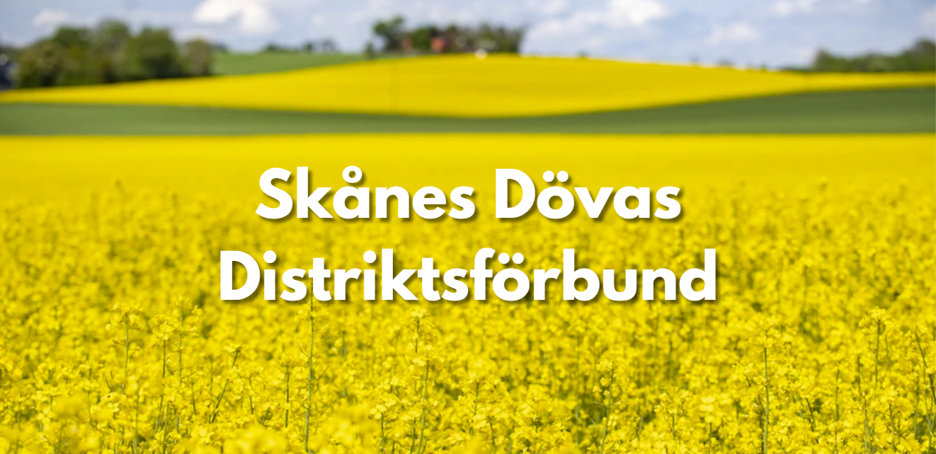 SDDF - Skånes Dövas Distriktsförbund | Lund