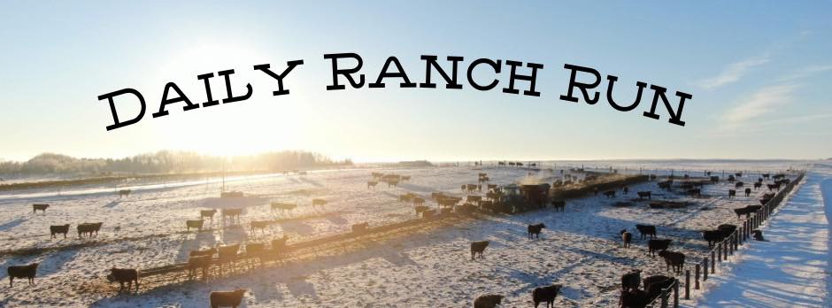 Daily Ranch Run