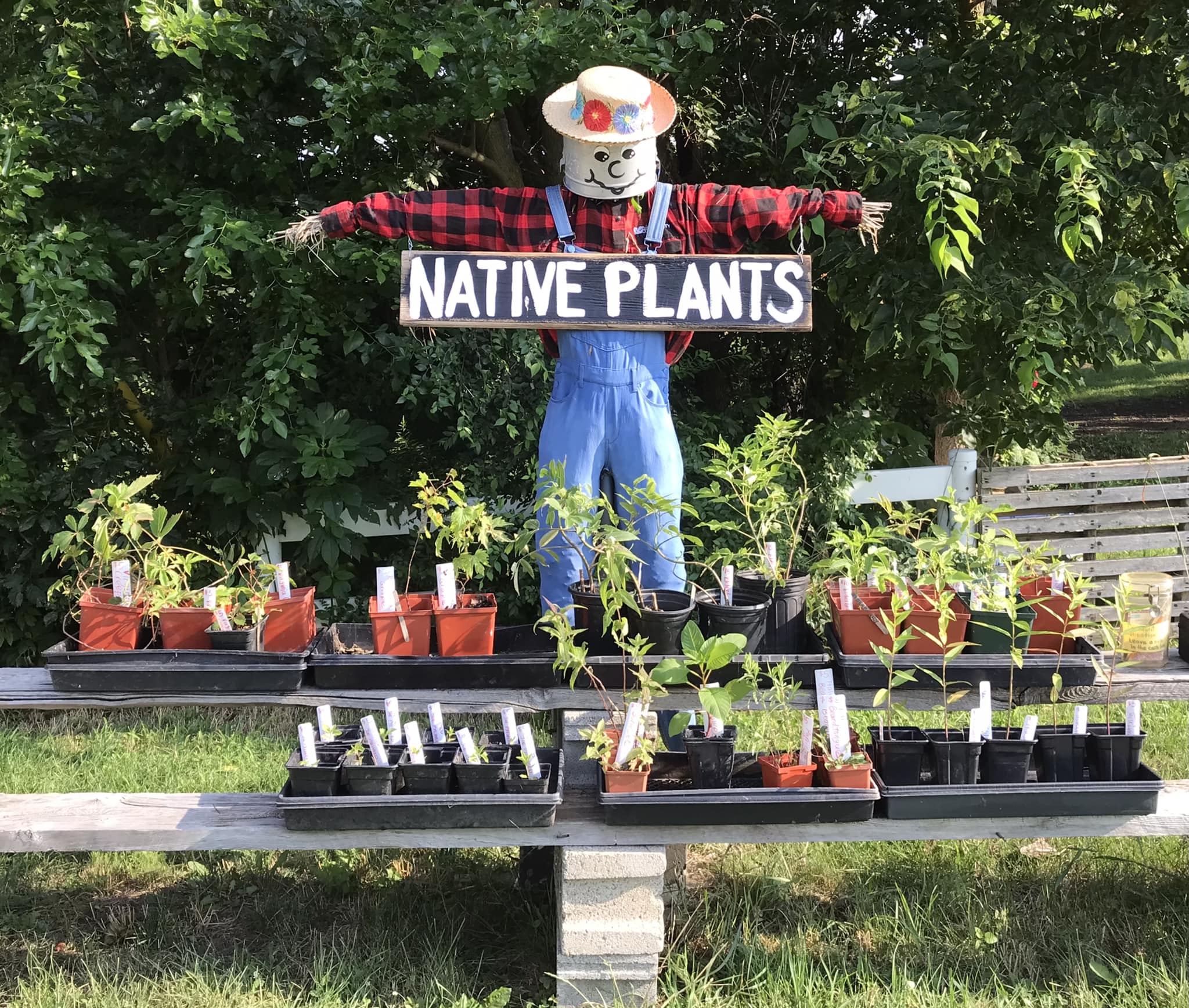 PELEE GATES FARM | Leamington ON