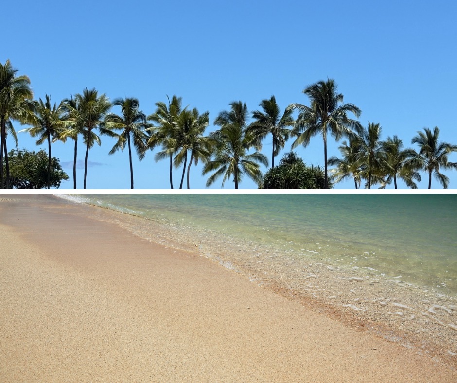 Drive Aloha | Honolulu HI