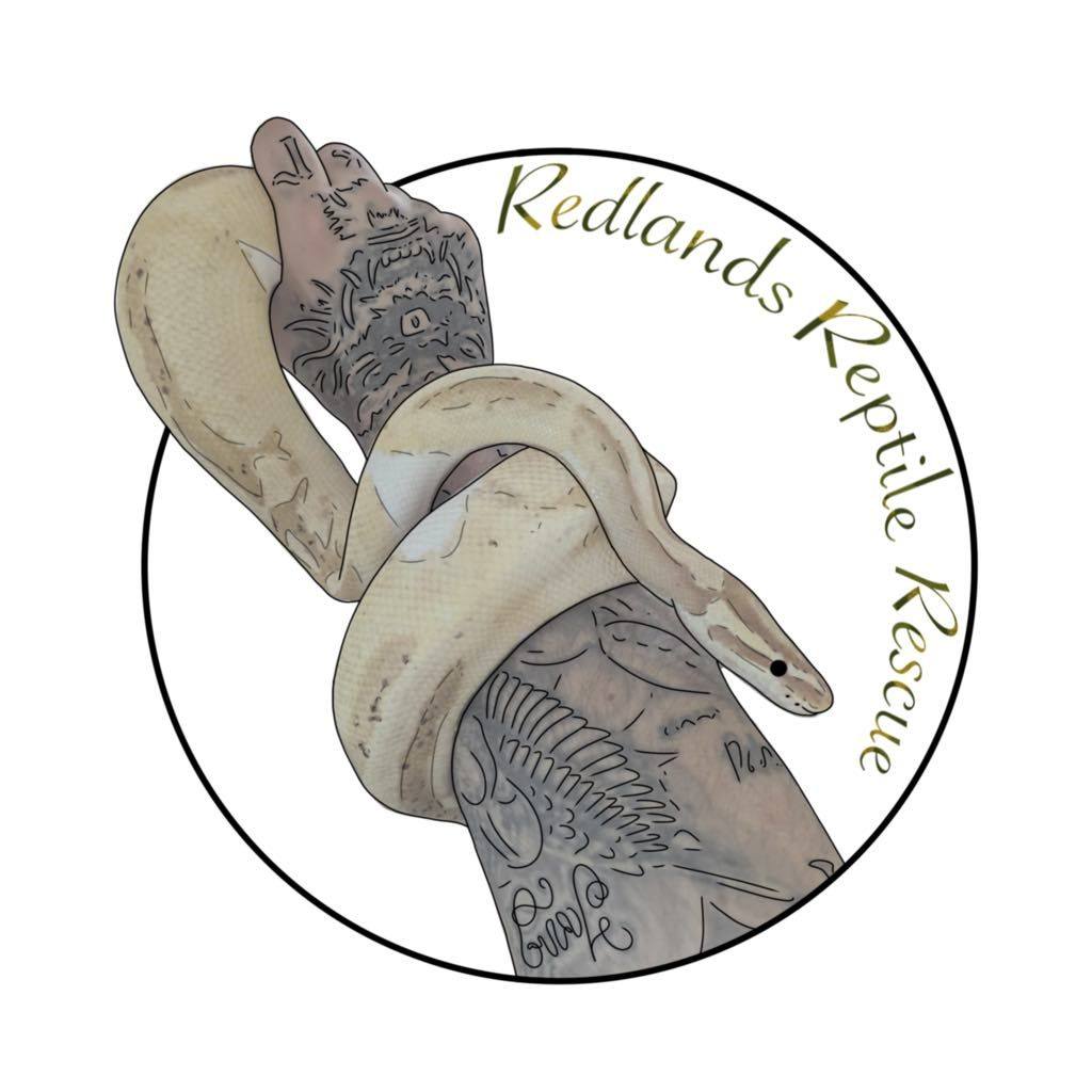 Reptiles For Rehoming UK - No Sales | Adoption list as of 04/03/26 ...