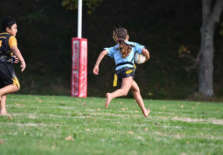 EBOP Rippa / Rip Rugby Info
