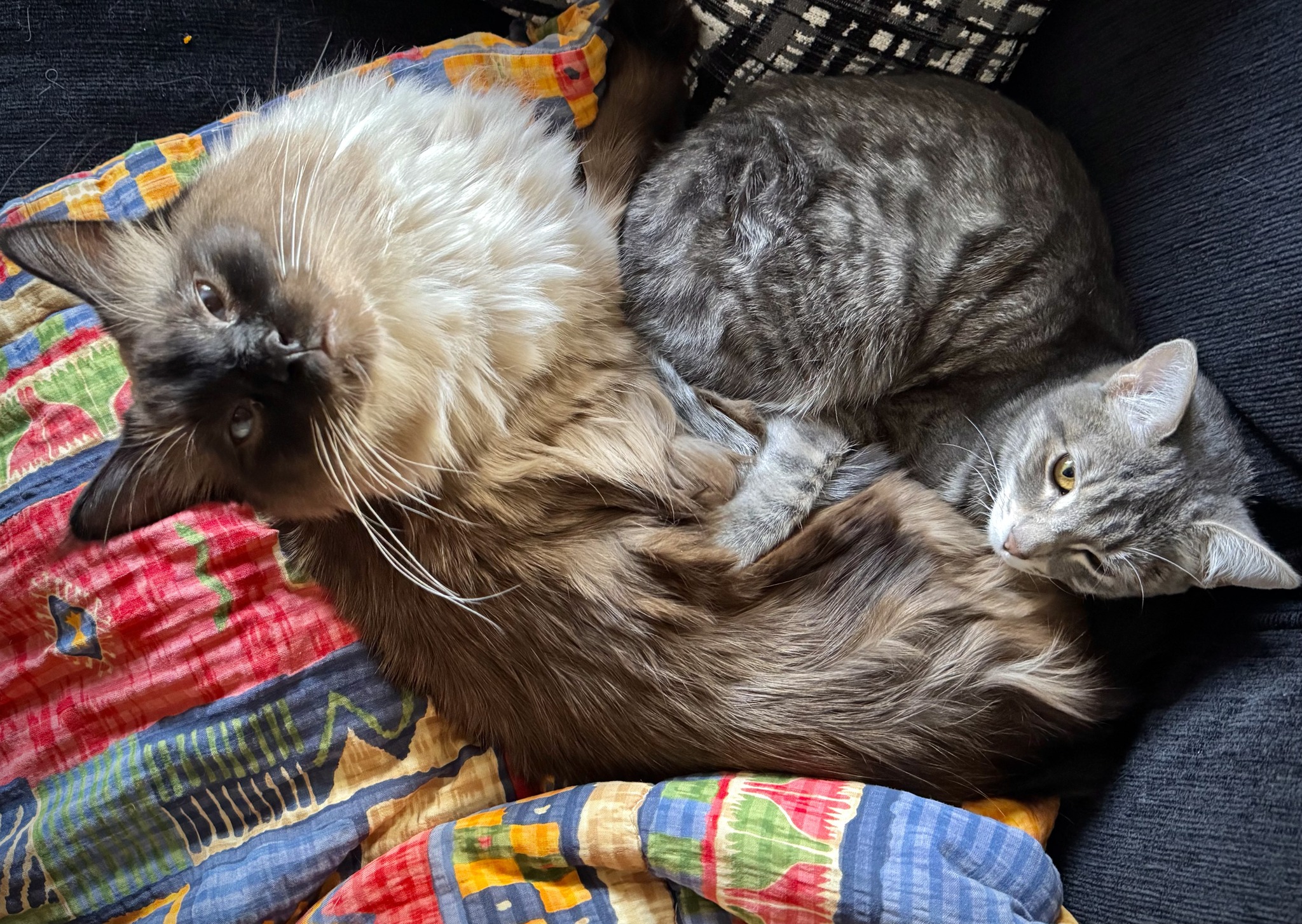 Juno & Kiko