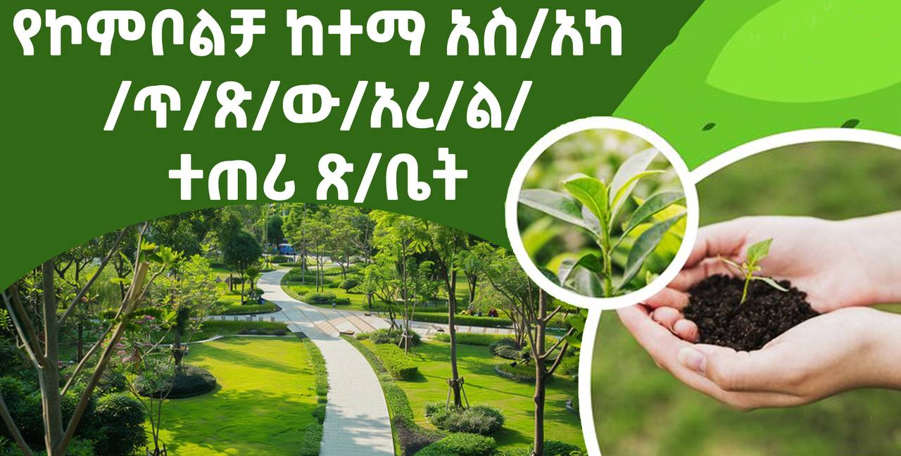 የኮምቦልቻ ከተማ አካባቢ ጥበቃ ጽ/ው/አረ/ልማት ተጠሪ ጽ/ቤት