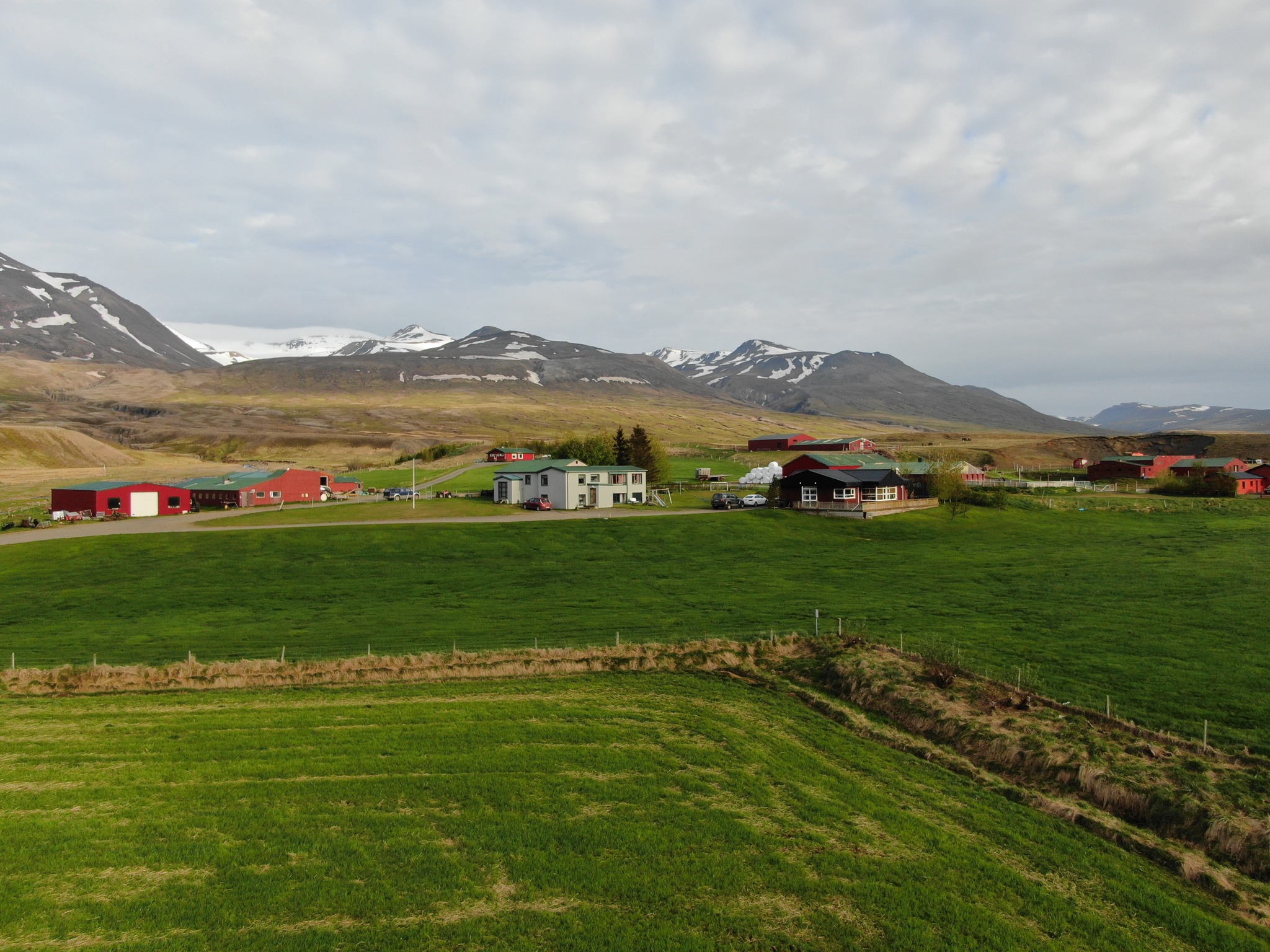 Haustið hefur verið mjög annríkt og... - Vopnfirskt Gæðakjöt | Facebook