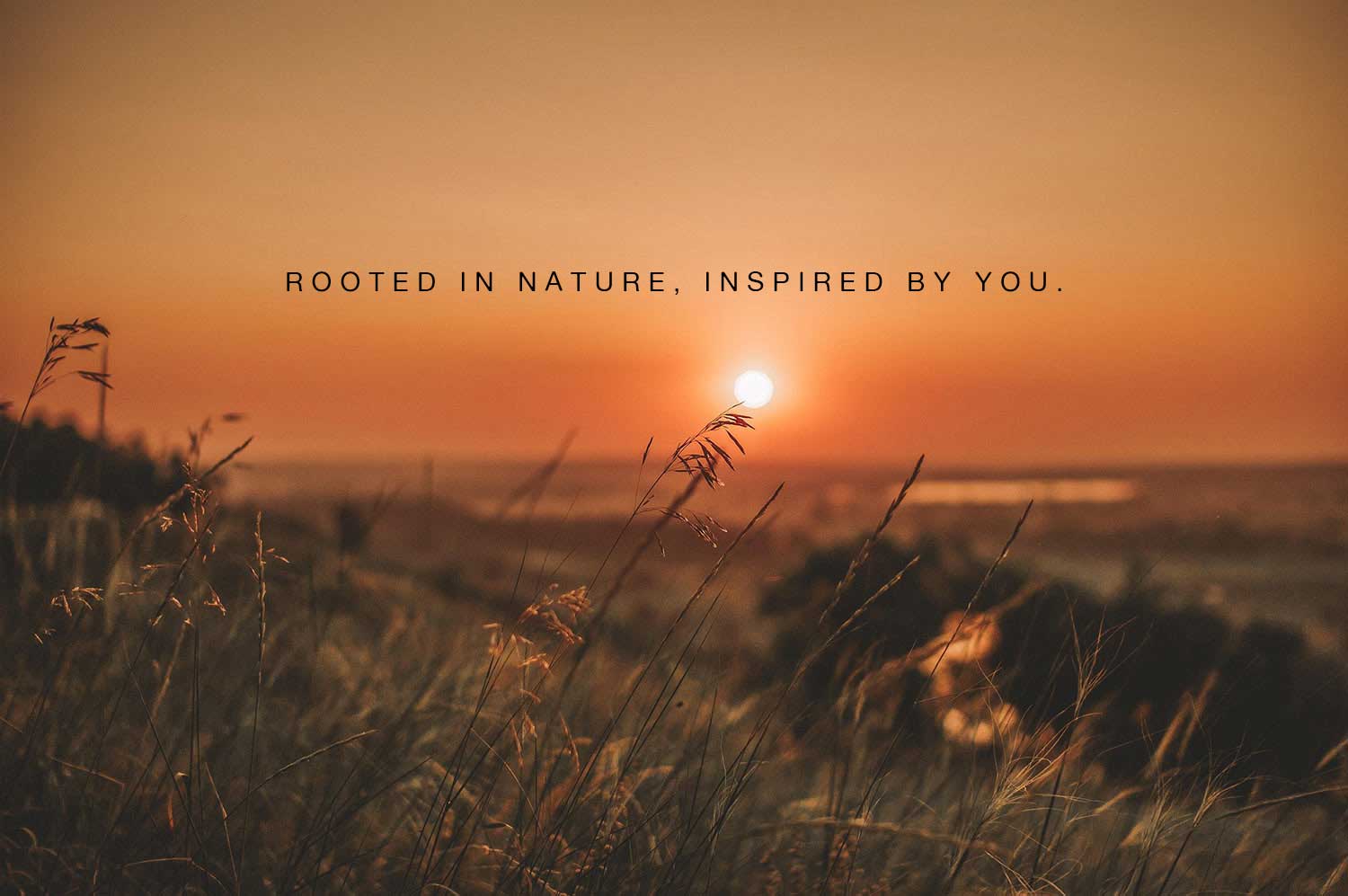 Rooted Compass | Saint Marys OH