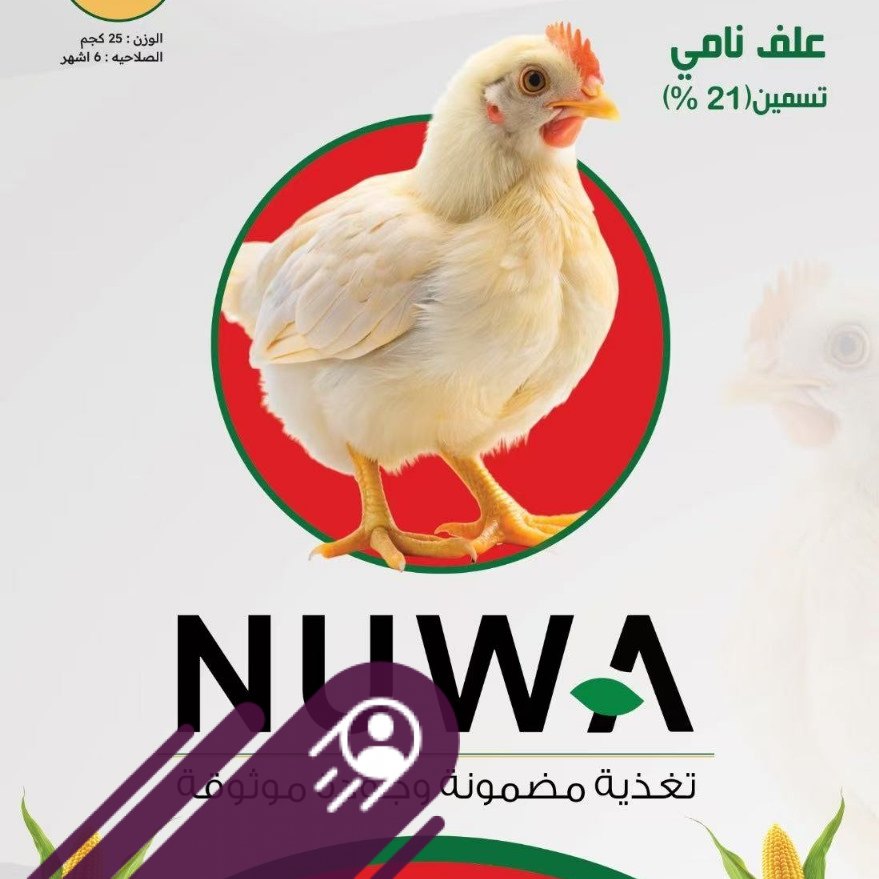 نوا الصينية للاعلاف