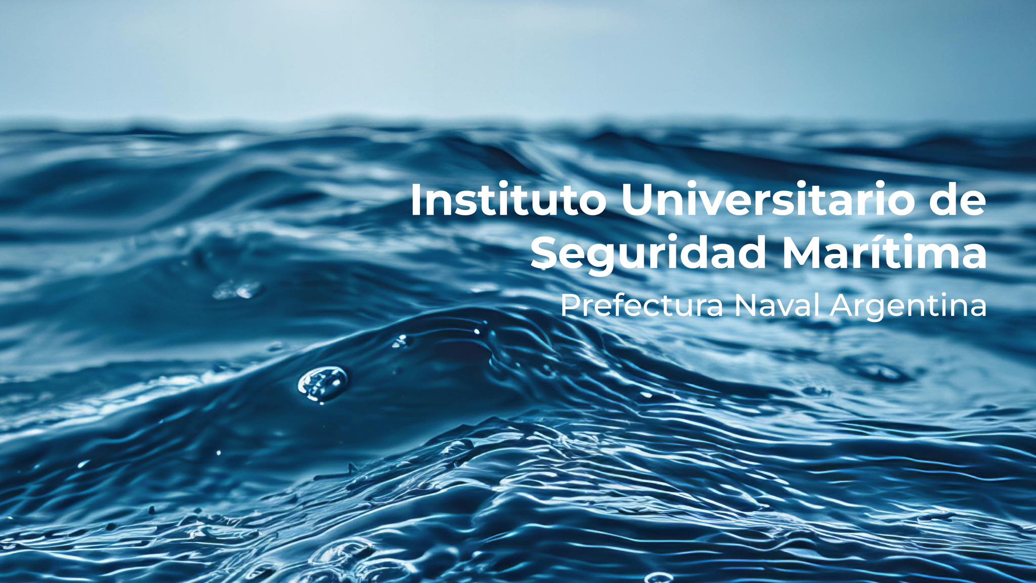 Instituto Universitario de Seguridad Marítima - IUSM | Olivos