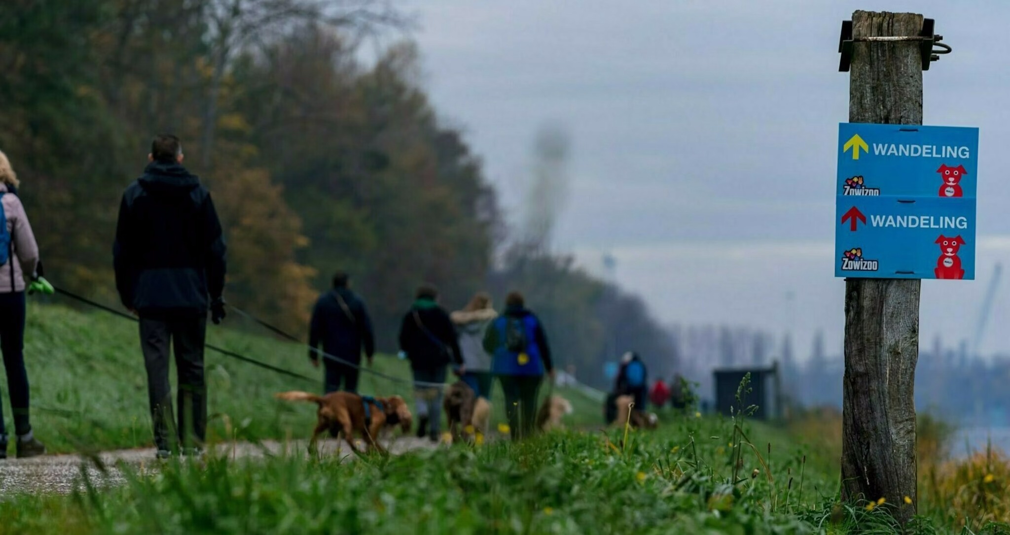 zowizoo-hondenwandeling-2023-facebook