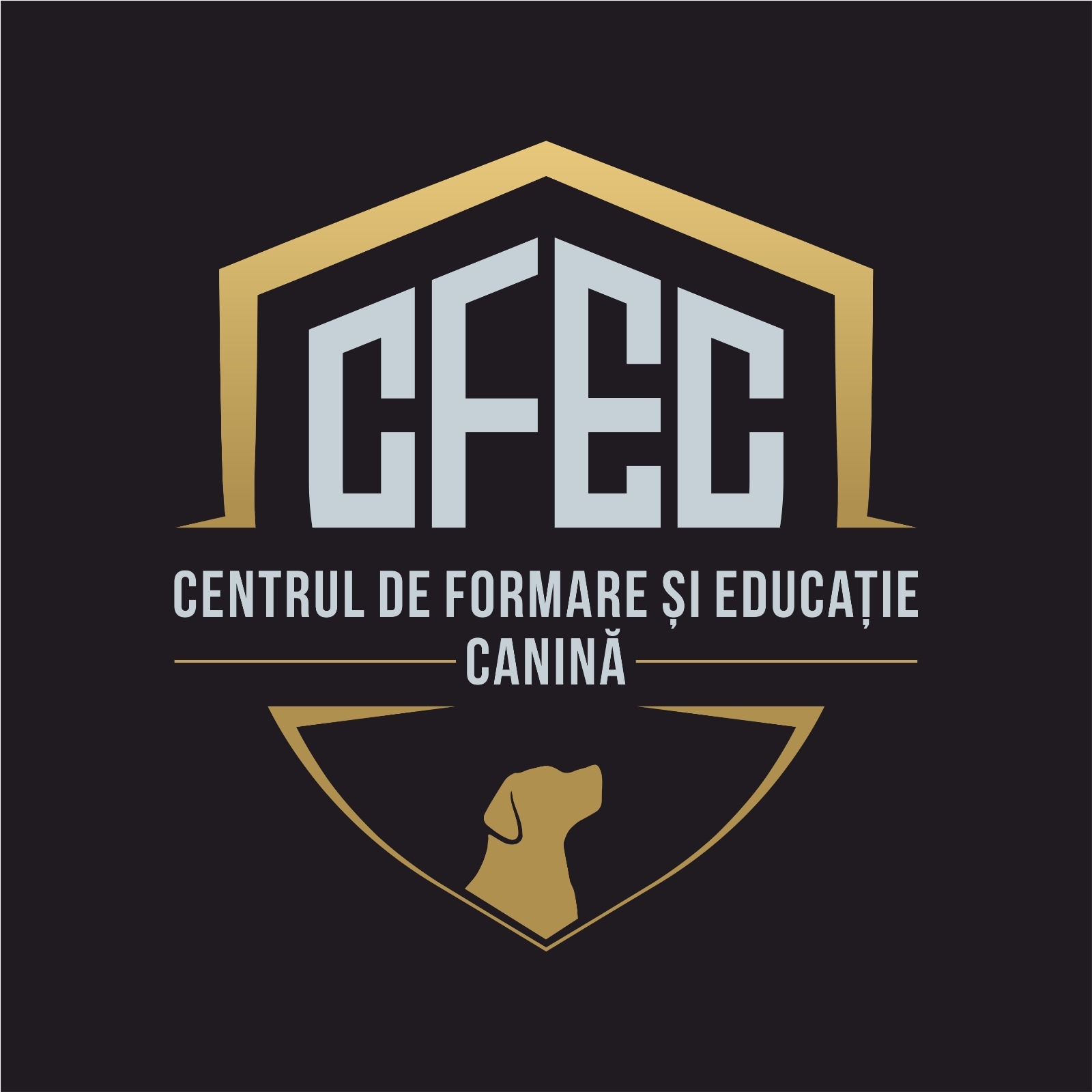 Ioana Pop, profesor în cadrul CFEC, este omul fără de care acest ...