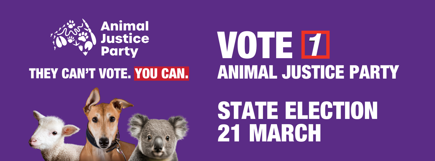 Ruby Eckermann - Hammond Candidate for the Animal Justice Party