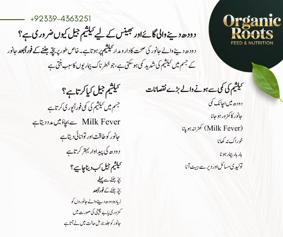Organic Roots Feed & Nutrition