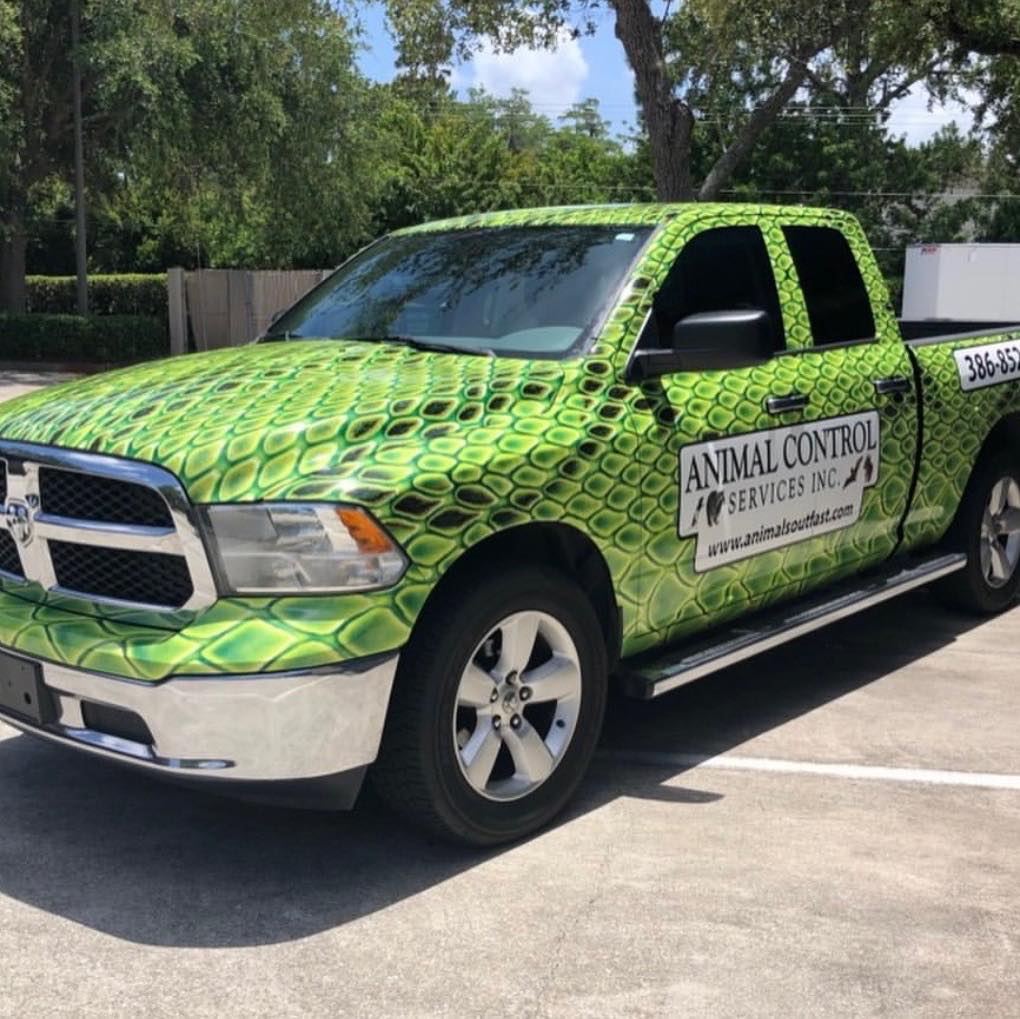 Palm Coast Community Network | So believe it or not this is the exact ...
