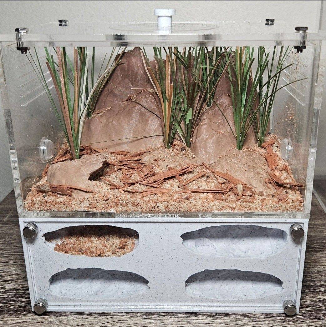 Ants and Antfarms Australia | Trialling some flat styled nests with ...