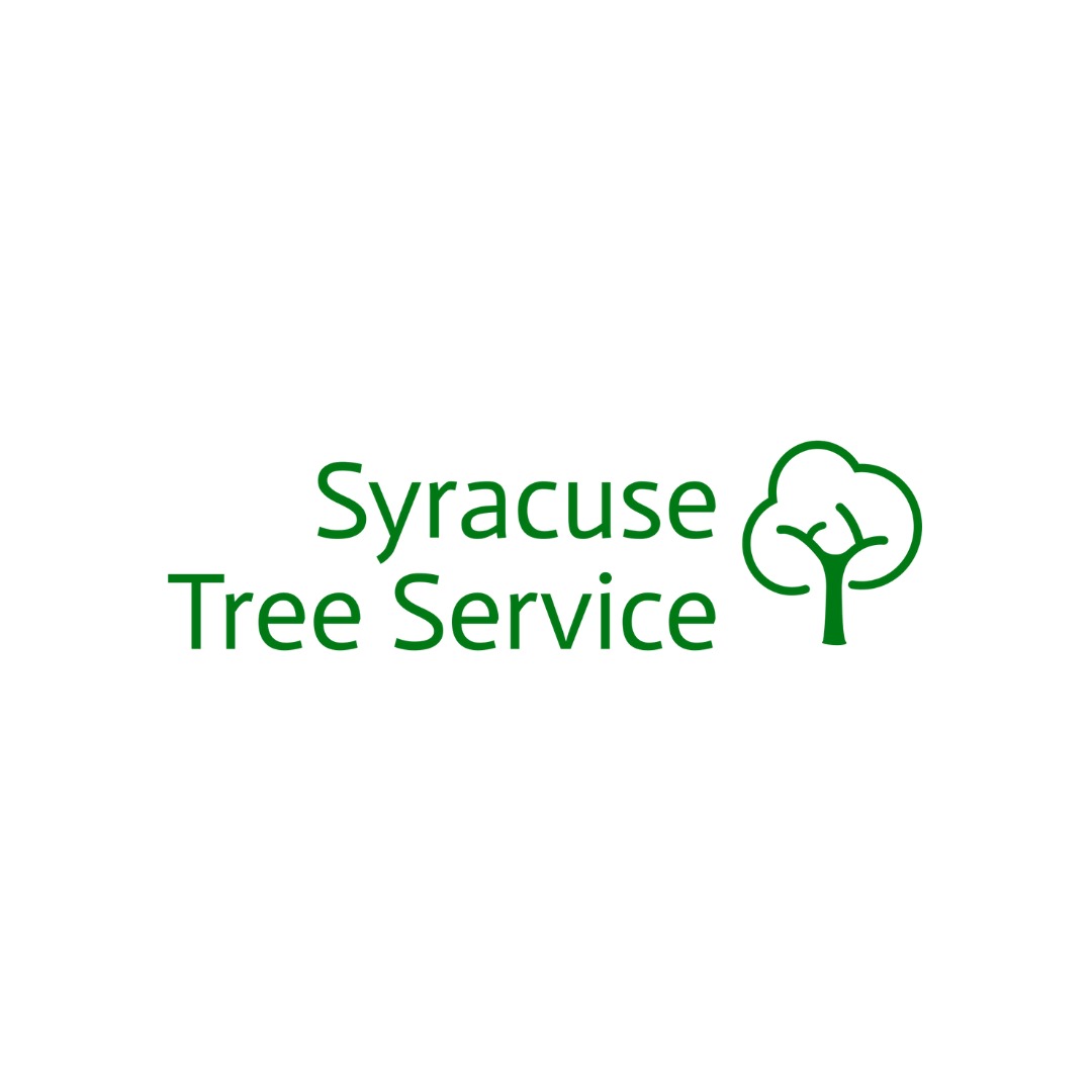 🌲 Professional Tree Care Starts With the Right Team! 🪵 From tree ...