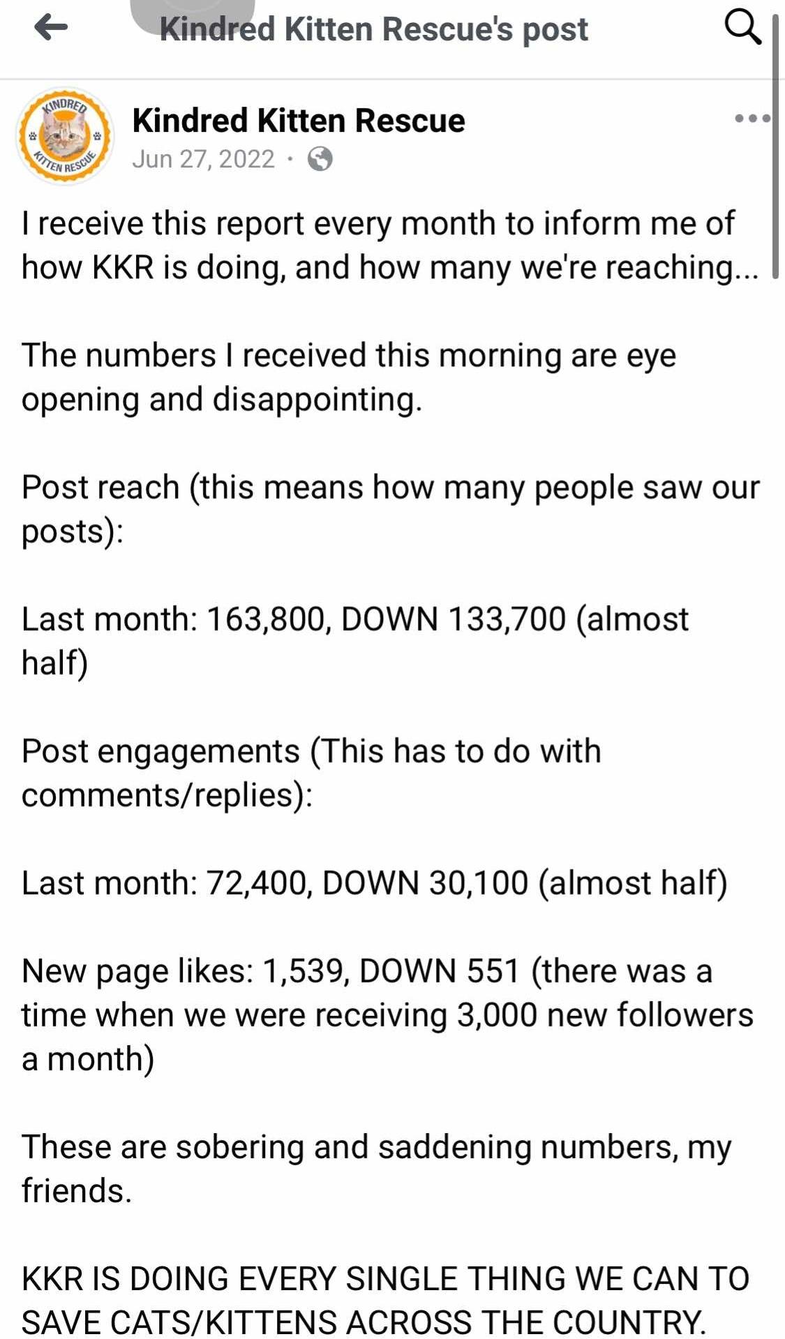 Kindred Kitten Rescue is... - Kindred Kitten Rescue is a SCAM