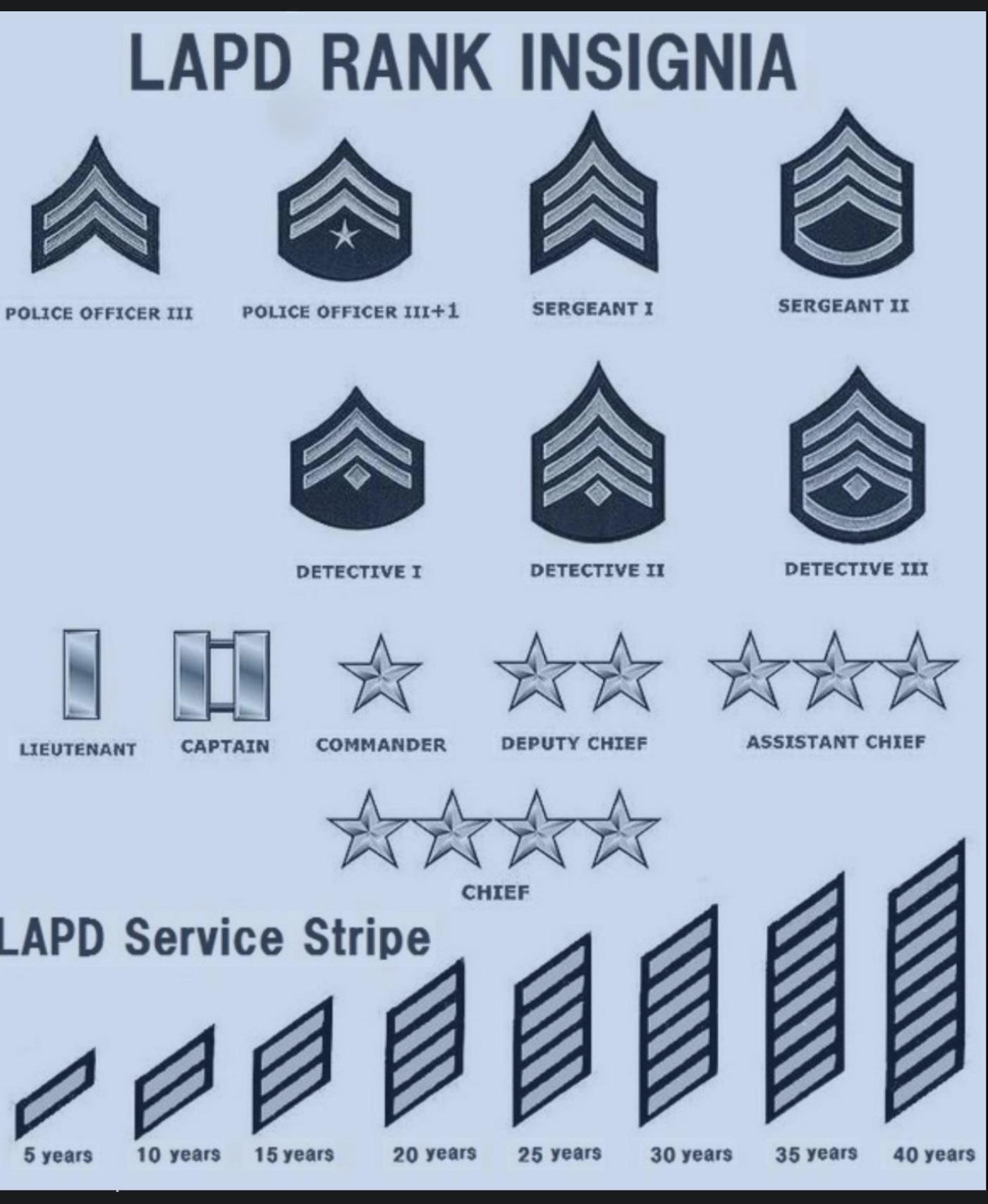 Inside - Inside Law Enforcement - Why Ranks Matter Many people ask why ...