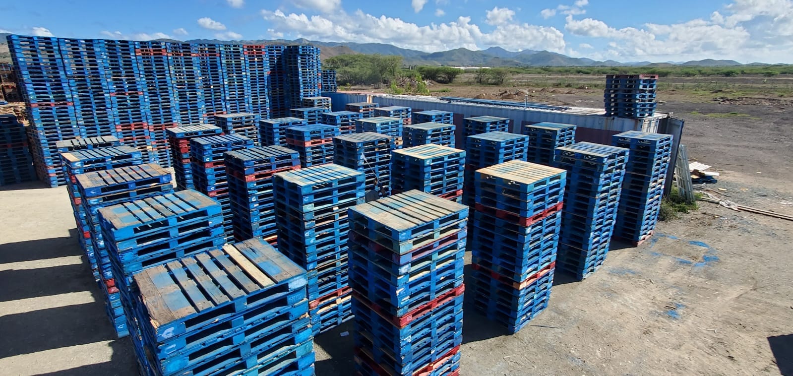 Multi Pallet Solutions | Salinas