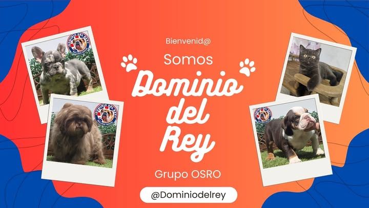 Dominio del Rey | Cuautitlán Izcalli