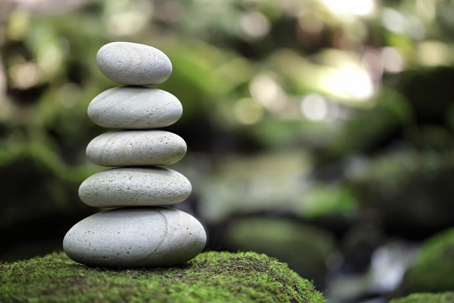Holistic Health Institute | Port Charlotte FL