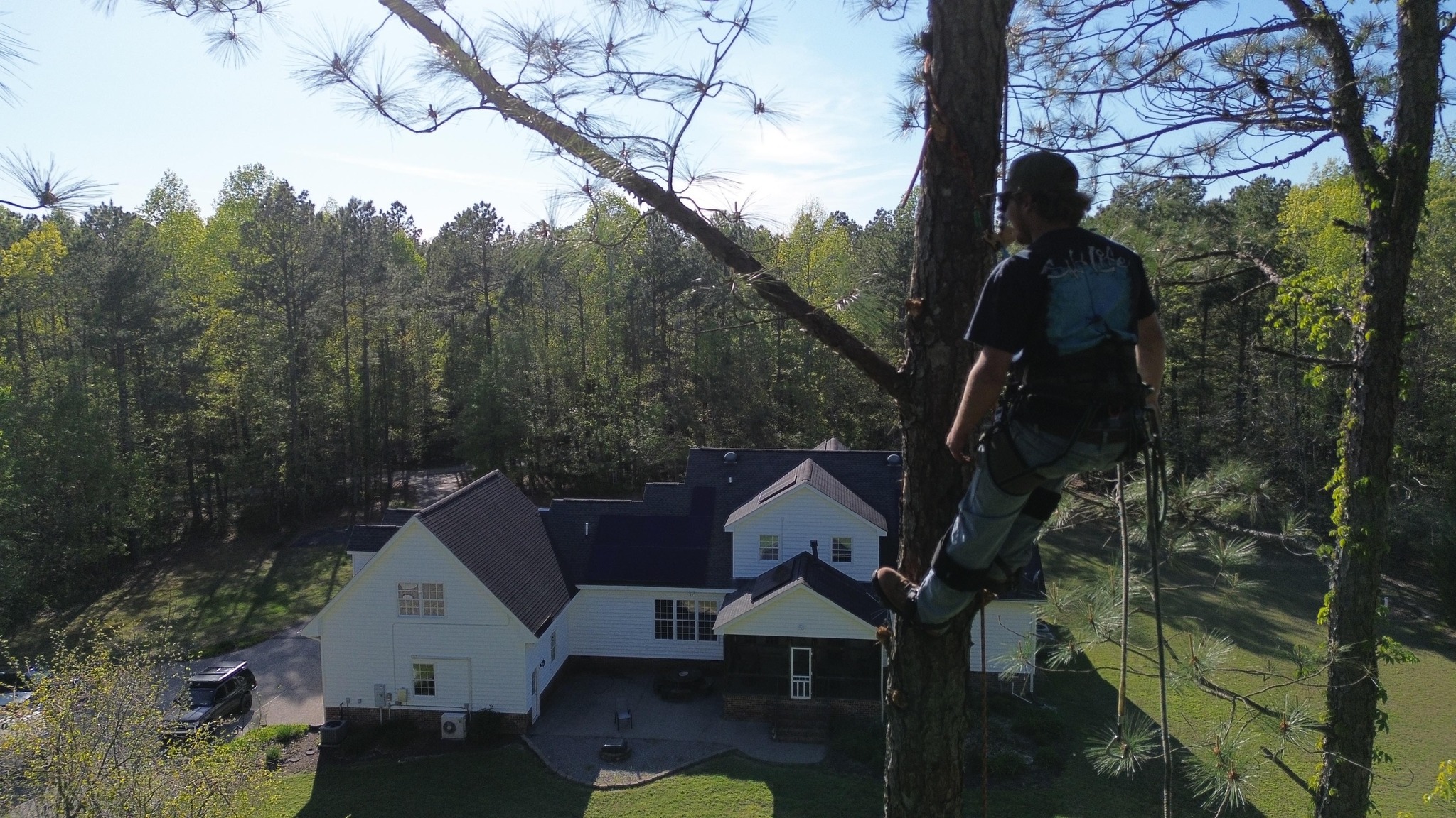 Timberlake Tree & Land Services