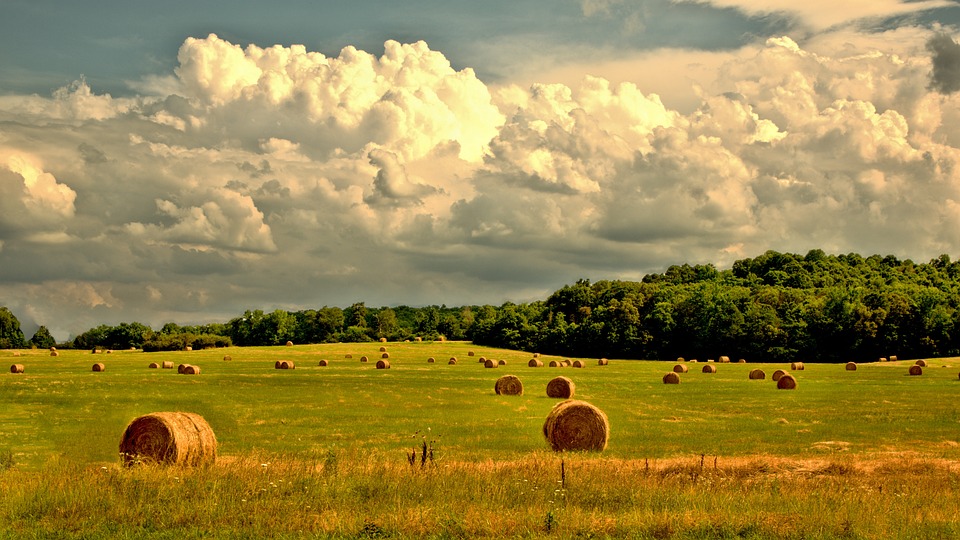Village of Applegate | Applegate MI