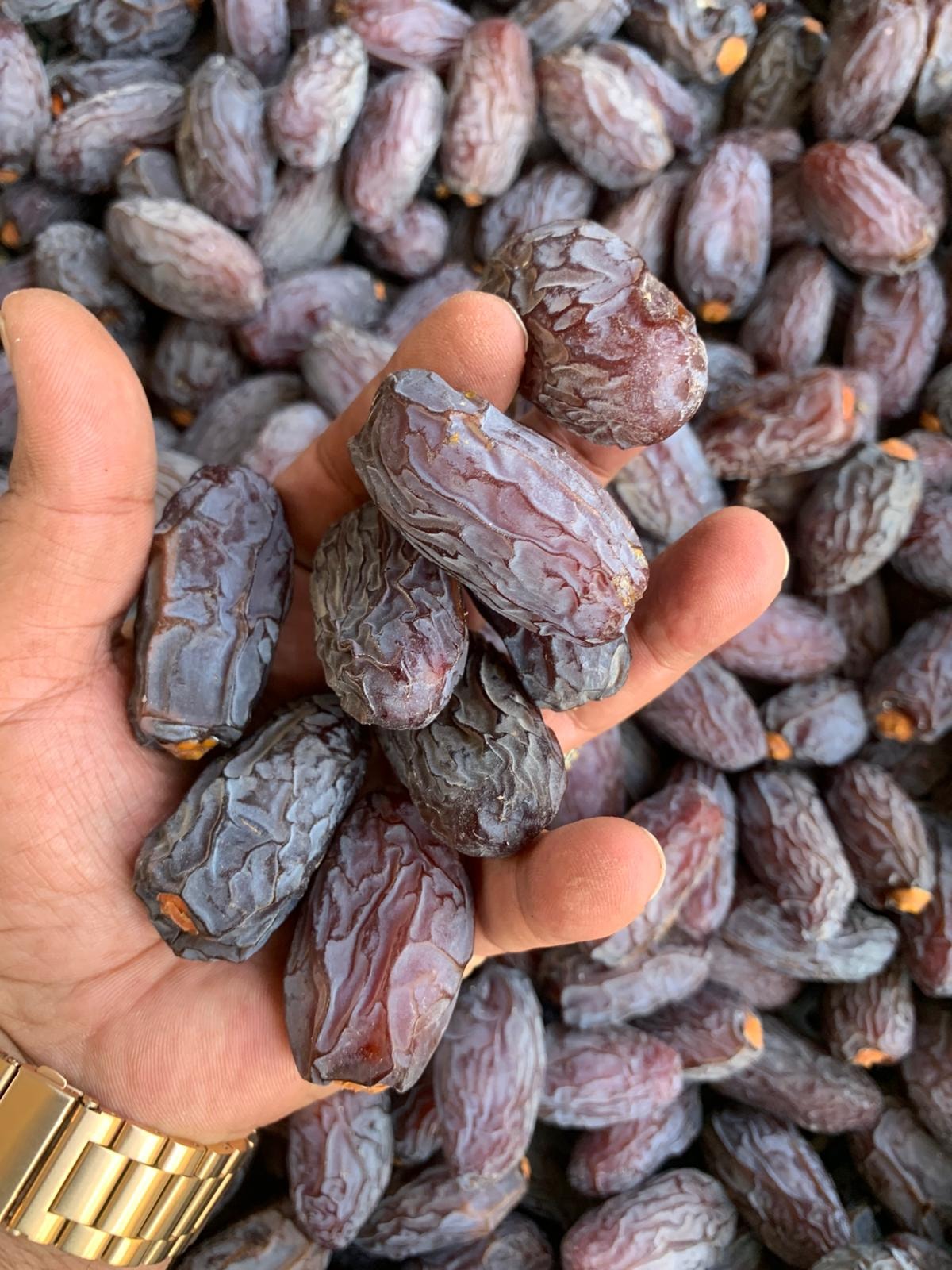Rutab Palestine Company | Jericho VIC