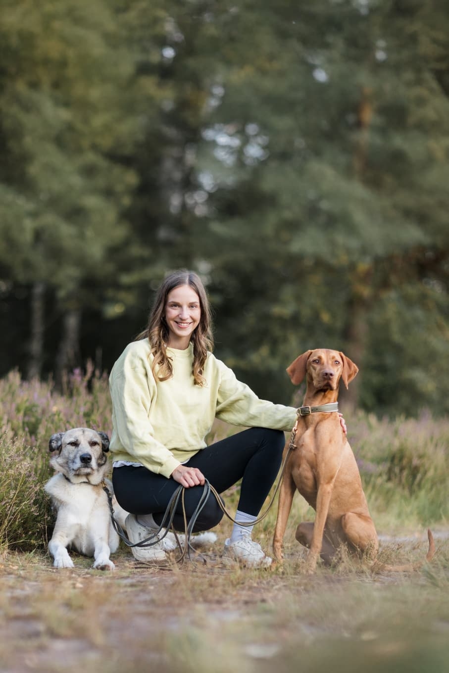 unpopular-opinion-ich-bin-hundetrainerin-und-liebe-meine-flexileine