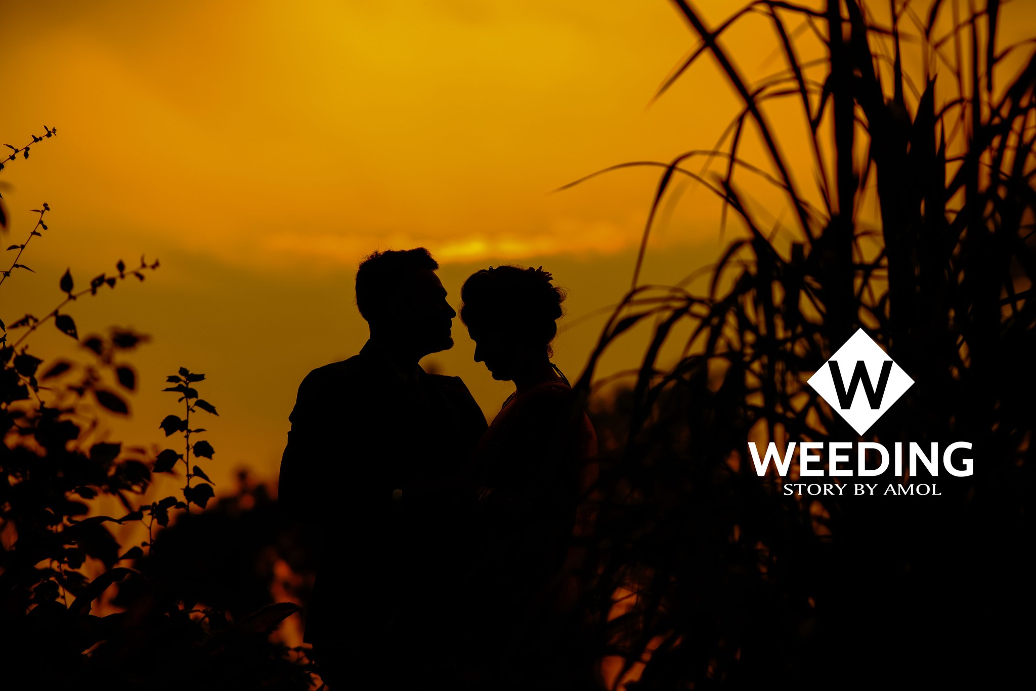 Wedding Story By Amol | Khulna