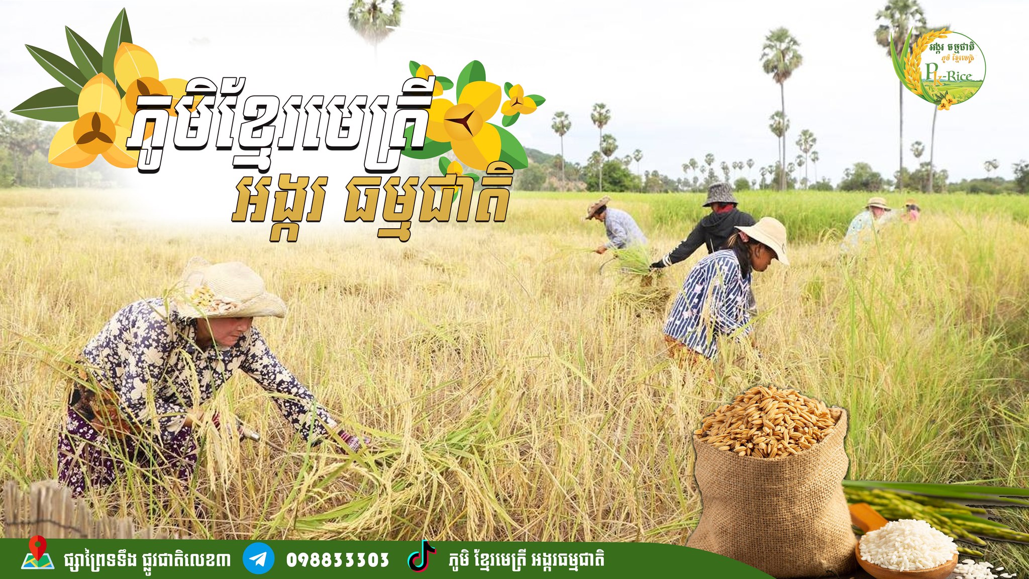 អង្ករធម្មជាតិ ភូមិខ្មែរមេត្រី-Pk Rice | Phnom Penh