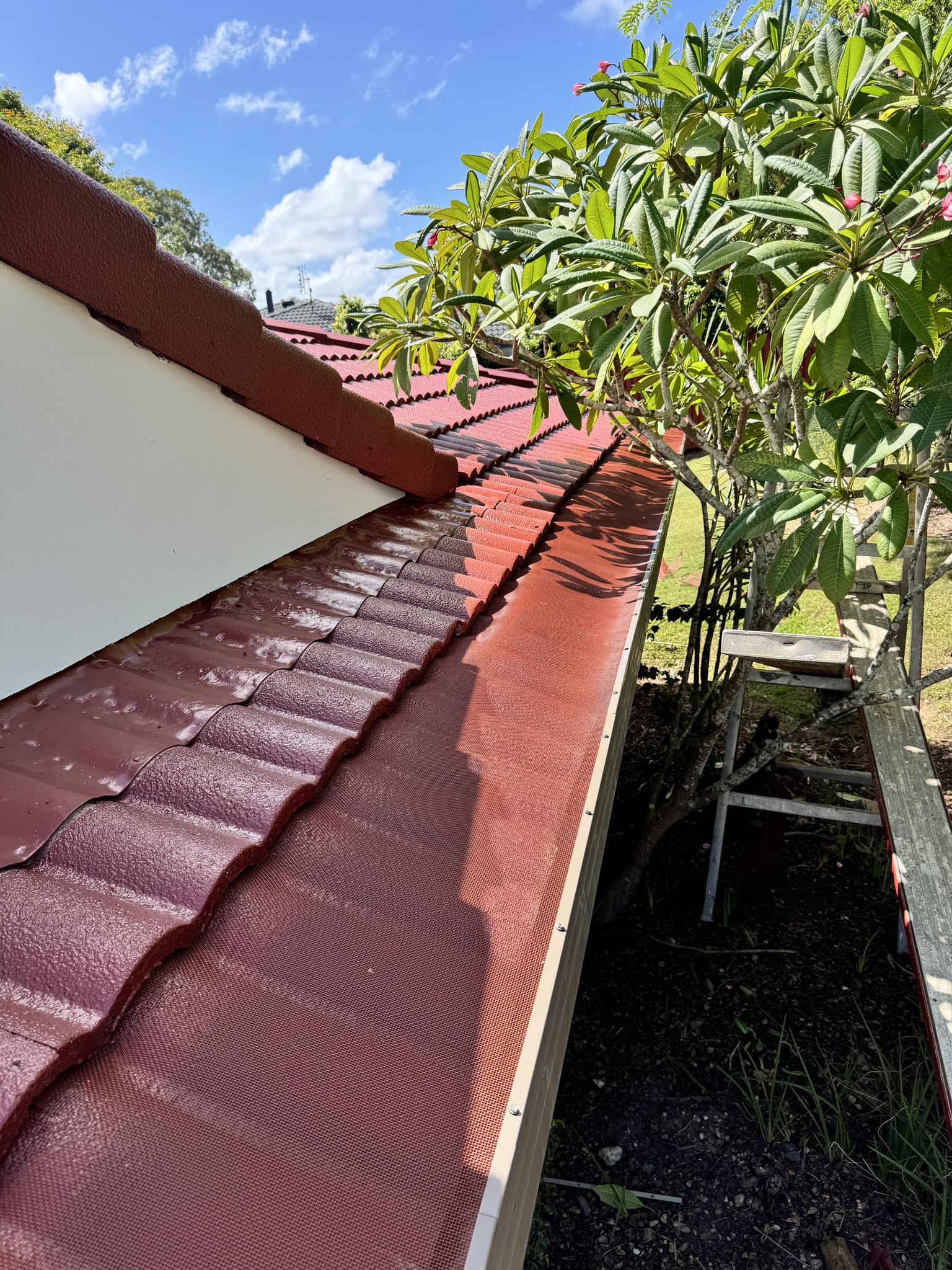 BD Gutter Guards