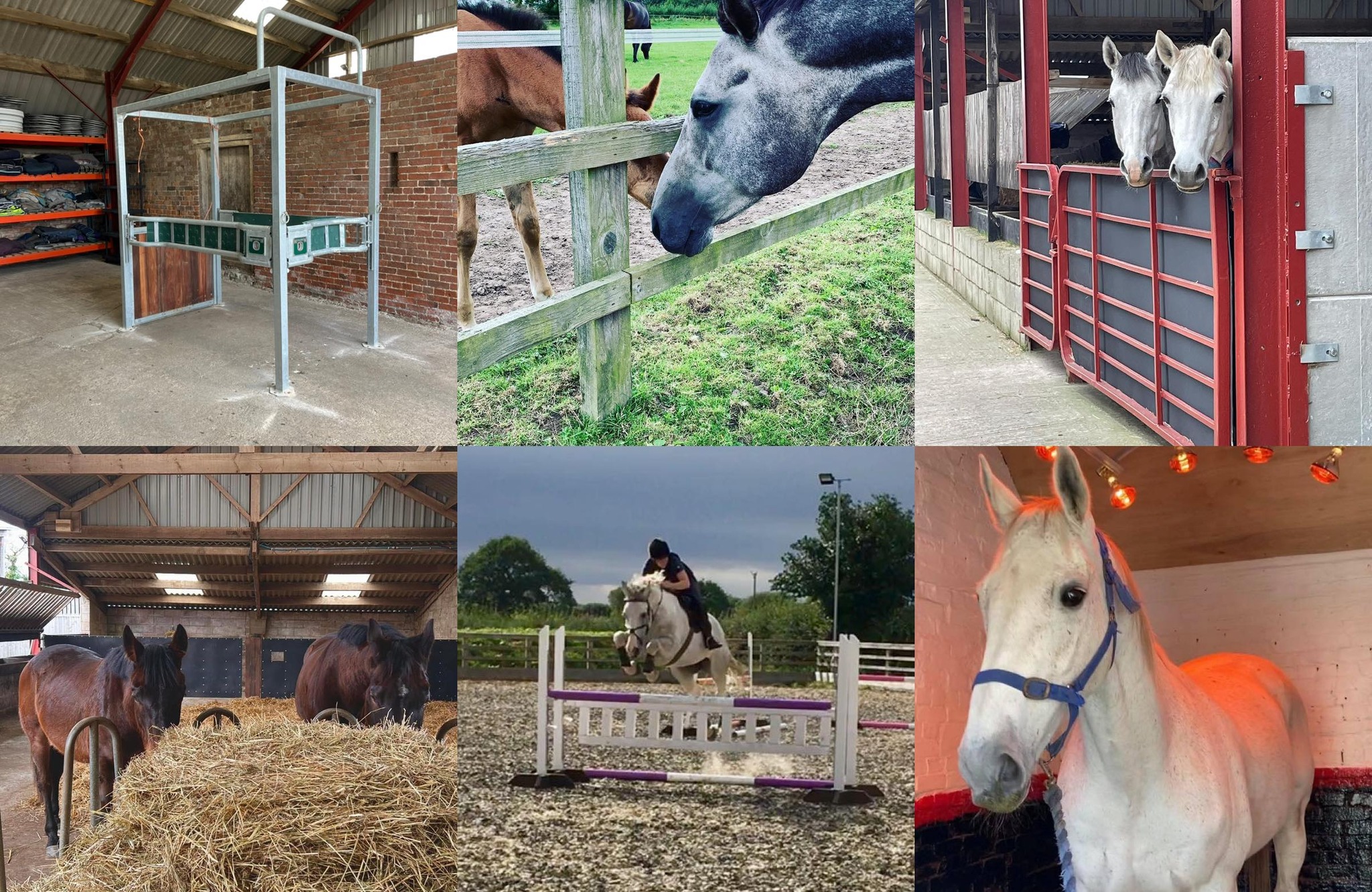 Lilac Farm Equestrian | Malton
