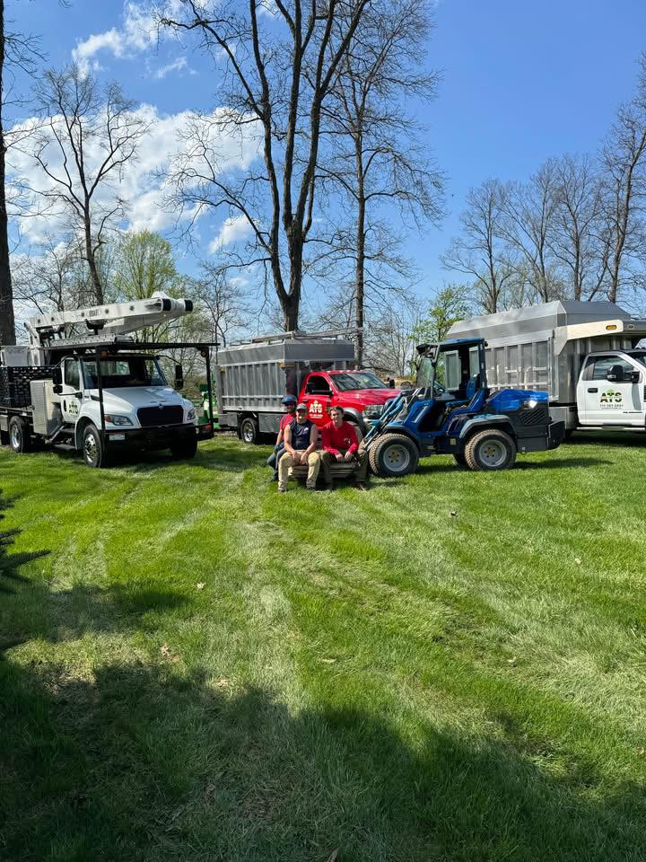 Action Tree Service | Elizabethtown PA