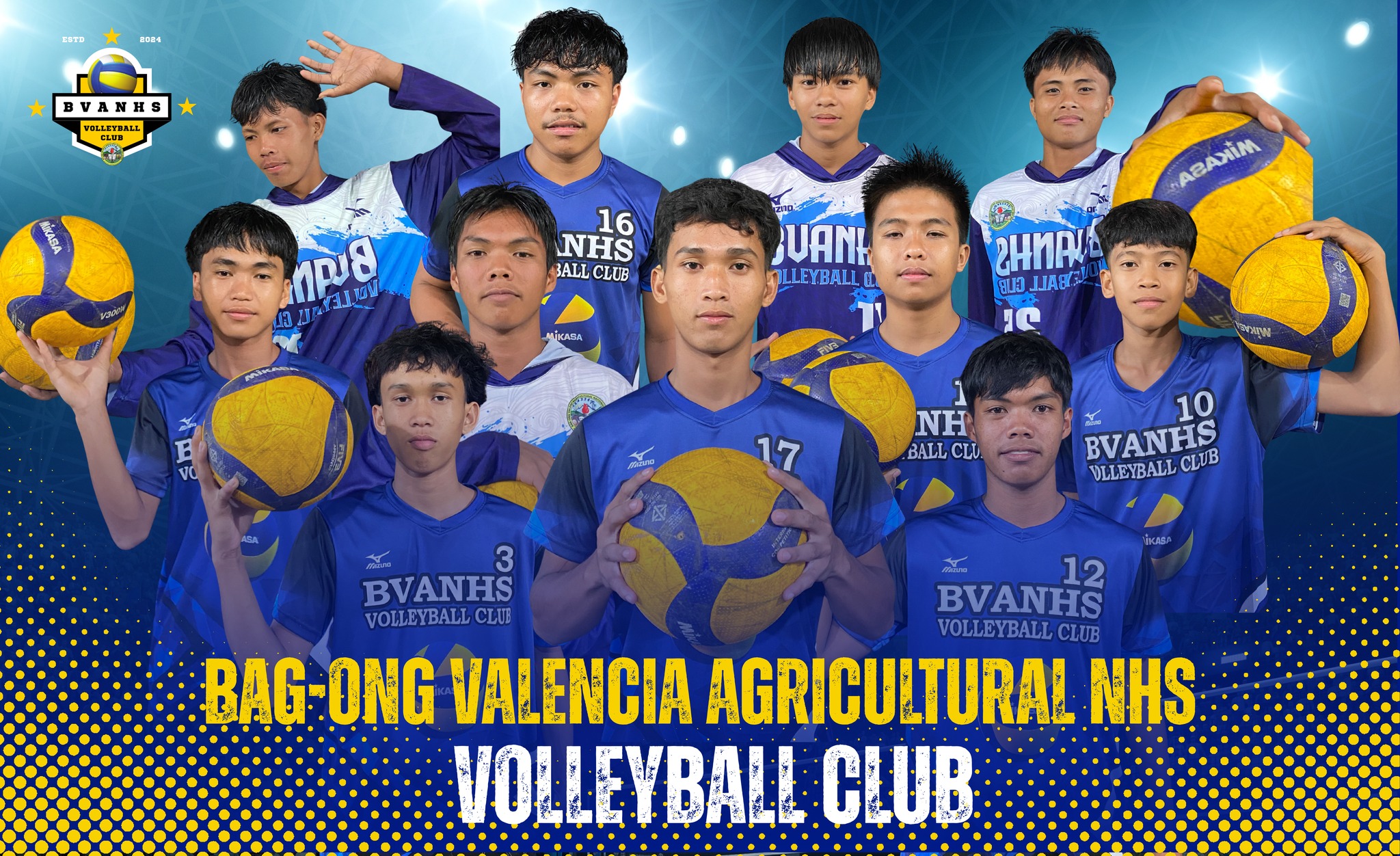 Bvanhs MVT