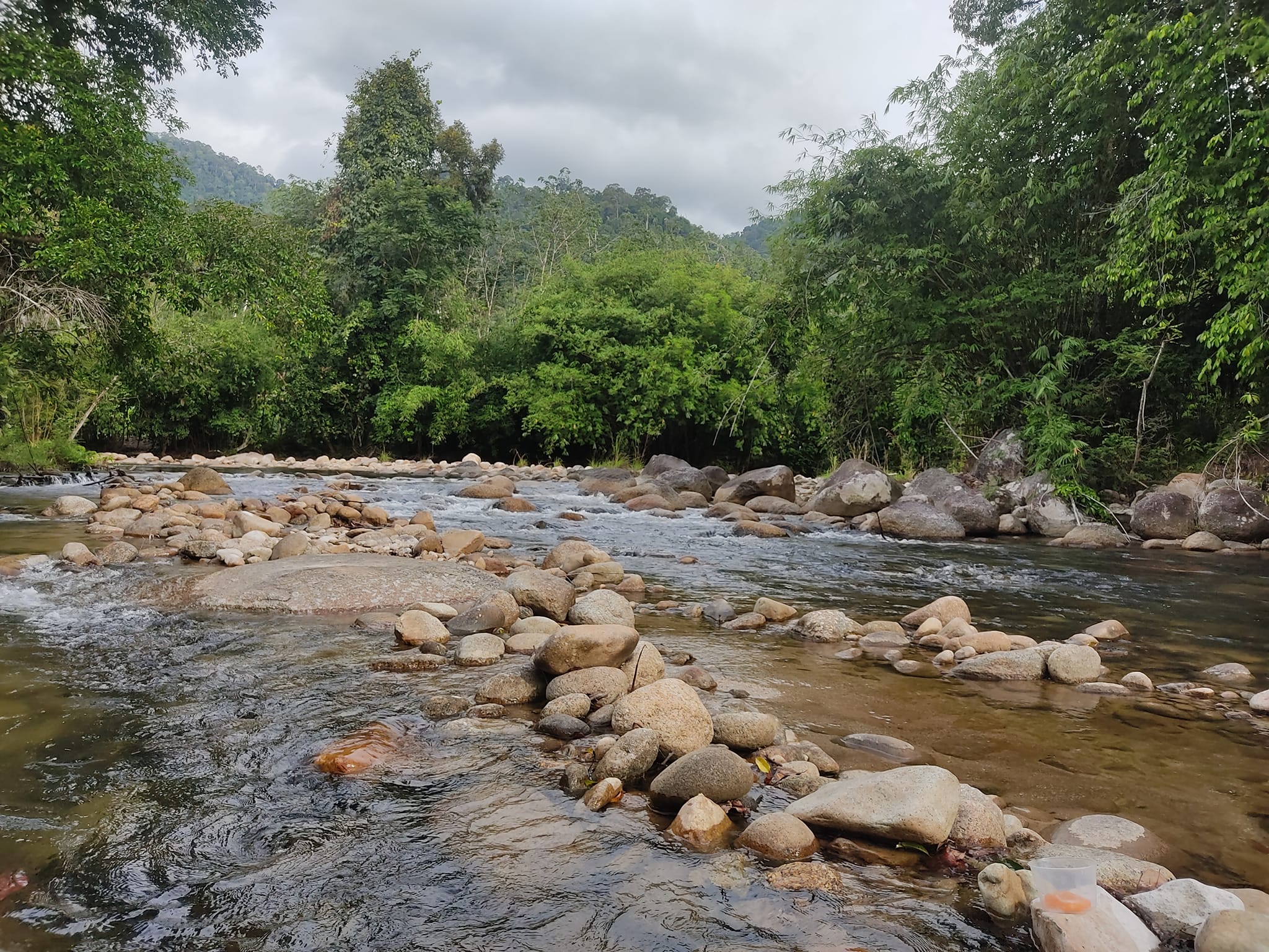 Selama Picnic Riverside Camp | Selama